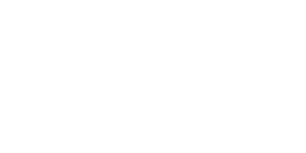 Phoenix Spine & Joint